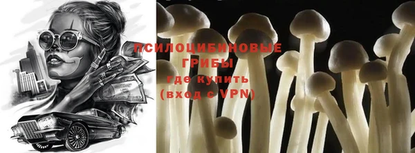 мдма Богданович