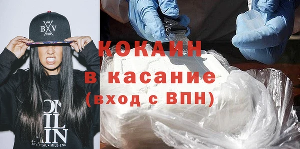 прущие грибы Белокуриха