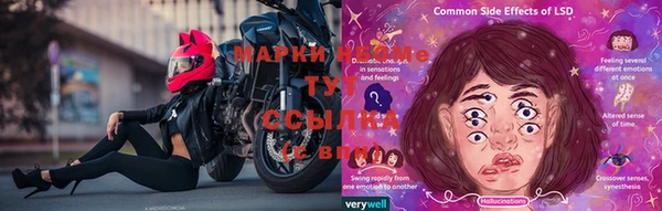 твердый Верея